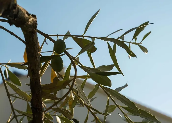 Hotel Ethereal Limenas (Thasos)